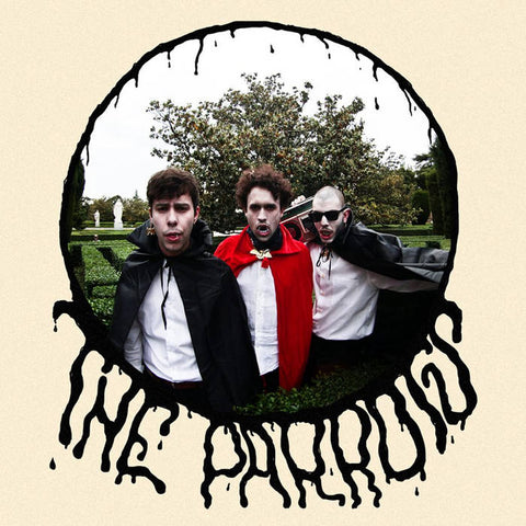Parrots - Loving You Is Hard (7")