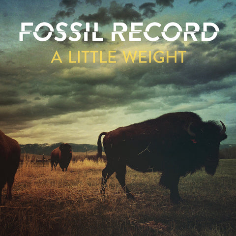 Fossil Record - A Little Weight (LP)